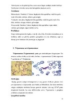 Research Papers 'Medicīniskā parazitoloģija. Helmintozes', 15.