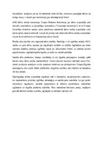 Essays 'Nepilngadīgo tiesību aizsardzība digitālajā vidē', 2.