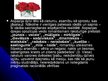 Presentations 'Aspazija "Sarkanās puķes"', 7.