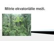 Presentations 'Mitrie ekvatoriālie meži', 1.