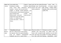 Practice Reports 'Pirmsskolas izglītības prakse', 11.