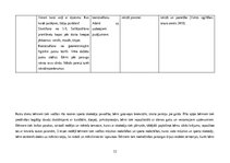 Practice Reports 'Pirmsskolas izglītības prakse', 12.