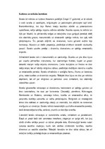 Essays 'Baroks – mākslas, filozofijas un sabiedrības mijiedarbība', 1.