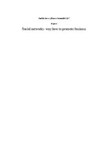 Essays 'Social Networks - Way to Promote Business', 1.