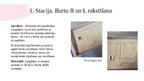 Presentations 'Atbalsta materiāls bērniem burtu R un L apguvē', 6.