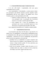 Term Papers 'SIA "KTB Stende" saimnieciskās darbības izvērtējums', 37.