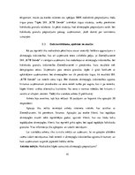 Term Papers 'SIA "KTB Stende" saimnieciskās darbības izvērtējums', 91.