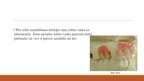 Presentations 'Izņemamās parciālās zobu protēzes ar plastmasas bāzi izgatavošanas klīniskie, la', 19.