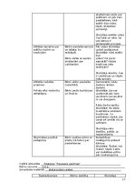 Practice Reports 'Atskaite par agrīnās bērnības pedagoģisko praksi', 17.