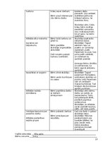 Practice Reports 'Atskaite par agrīnās bērnības pedagoģisko praksi', 19.