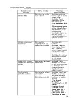 Practice Reports 'Atskaite par agrīnās bērnības pedagoģisko praksi', 20.