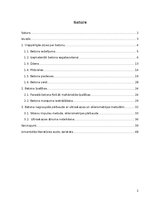 Research Papers 'Betons un tā izmantošana celtniecībā', 2.