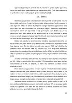 Research Papers 'Betons un tā izmantošana celtniecībā', 13.