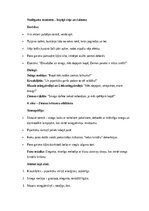 Summaries, Notes 'Ziemas brīnums – detalizēts pirmsskolas teātra uzvedums bērniem', 8.