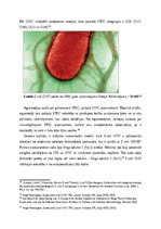 Research Papers 'Aļģu antibakteriālie metabolīti kā patogēno E.coli celmu noārdītāji', 17.