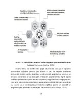 Term Papers 'Didaktisko spēļu izmantošanas iespējas dabaszinību satura apguvē 1.klasē', 18.