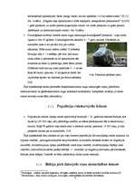 Research Papers 'Baltijas jūrā dzīvojošo roņu populāciju ietekmējošie faktori 21.gadsimtā', 7.