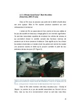 Term Papers 'La réalité virtuelle au cinéma: La confusion entre la réalité et la simulation', 28.