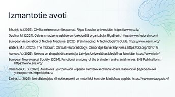 Presentations 'Smadzeņu stumbrs un vidussmadzeņu dziļā analīze', 16.