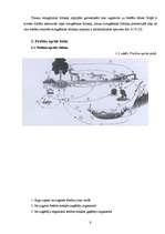 Research Papers 'Fosfātjonu daudzuma noteikšana dabas ūdeņos', 9.