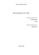 Research Papers 'Energy Drinks Are not Healthy', 1.