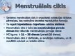 Presentations 'Menstruālais cikls', 2.