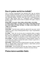 Essays 'Putnu izplatība un dzīvesveids Latvijā', 3.