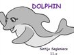 Presentations 'Dolphin', 1.