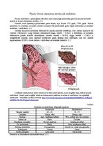 Research Papers 'Plaušu alveolu starpsienu atrofija', 3.