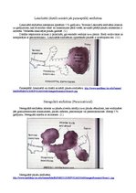 Research Papers 'Plaušu alveolu starpsienu atrofija', 6.