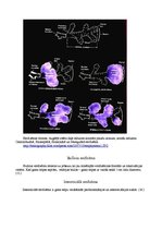 Research Papers 'Plaušu alveolu starpsienu atrofija', 7.