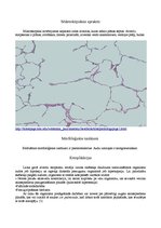 Research Papers 'Plaušu alveolu starpsienu atrofija', 12.