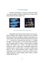 Research Papers 'Mikro un nanotehnoloģijas', 21.