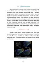 Research Papers 'Mikro un nanotehnoloģijas', 22.