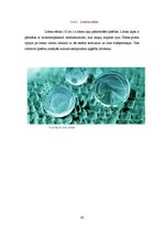 Research Papers 'Mikro un nanotehnoloģijas', 30.
