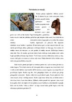 Research Papers 'Koala', 6.