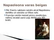 Presentations 'Napoleona laiki', 6.