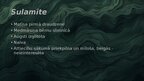 Presentations '"Svina garša" tēlu raksturojums', 8.