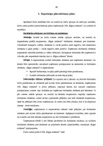 Term Papers 'Uzņēmuma "Rīgas satiksme" reputācijas analīze un pilnveidošanas iespējas', 49.