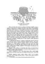 Research Papers 'Biomasas izmantošana enrģētikā', 18.