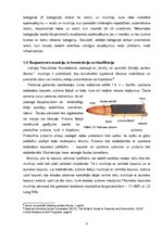 Term Papers 'Ieroču un munīcijas klasifikācija, to aprite Latvijā, sprāgstvielu iedalījums', 12.