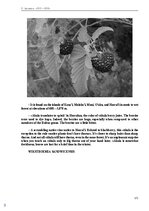 E-book 'Тайный остров', 136.