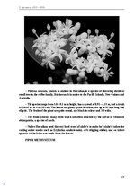 E-book 'Тайный остров', 138.