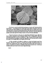E-book 'Тайный остров', 139.
