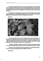 E-book 'Тайный остров', 141.