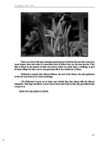 E-book 'Тайный остров', 142.