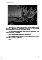 E-book 'Тайный остров', 143.
