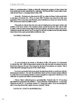 E-book 'Тайный остров', 145.