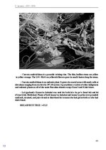 E-book 'Тайный остров', 146.