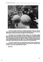 E-book 'Тайный остров', 147.